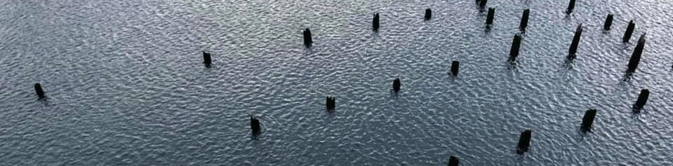 Photo of old pier footings in the Pacifica Water